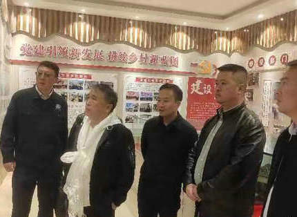 王志宏参与水利部援藏工作会议并调研公司定点助扶村