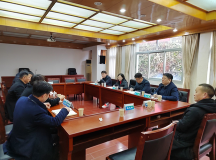 陈印辉到分子公司发展经营发展专题调研