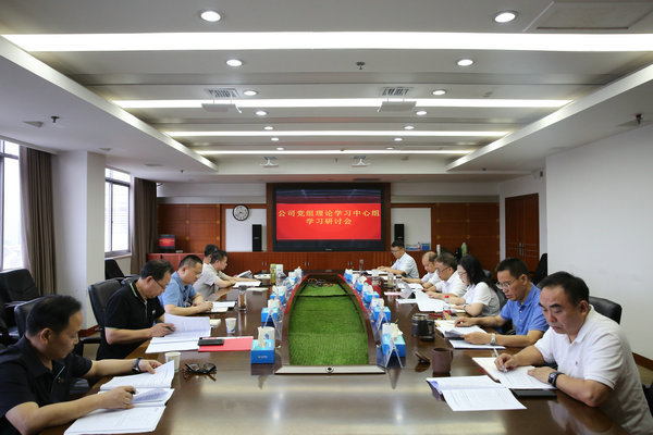 麻将胡了公司党组理论进建中心组发展主题教育第四次集中进建钻研