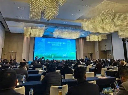 陈印辉受邀参与西藏自治区清洁能源产业链招商引资会