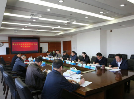 公司党组理论进建中心组进建贯彻全国“两会”心灵