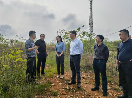 陈印辉带队调查调研衡阳县新能源项目