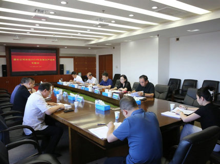 麻将胡了公司党组召开2024年全面从严治党专题会议