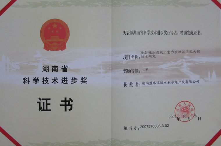 湖南省科学技术进取三等奖