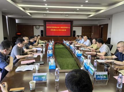 陈印辉与湖南省电力调度节造中心主任陈浩互换座谈