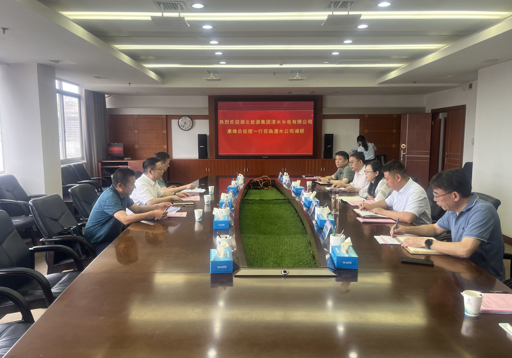 湖北能源集团座谈