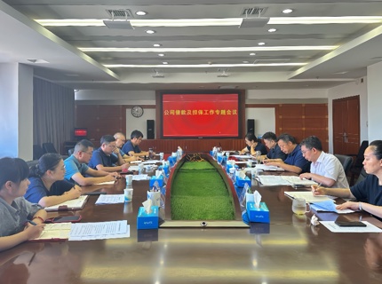 公司召开告贷及担保工作专题会议