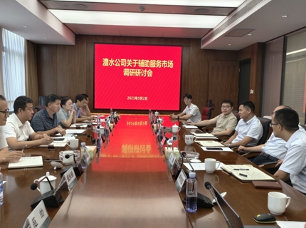 公司辅导带队赴湖南省电力科学钻研院发展电力调频辅助服务调研