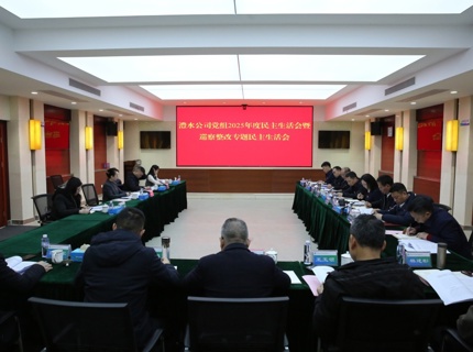 任红梅领导麻将胡了公司党组2025年度民主生涯会暨巡察整改专题民主生涯会