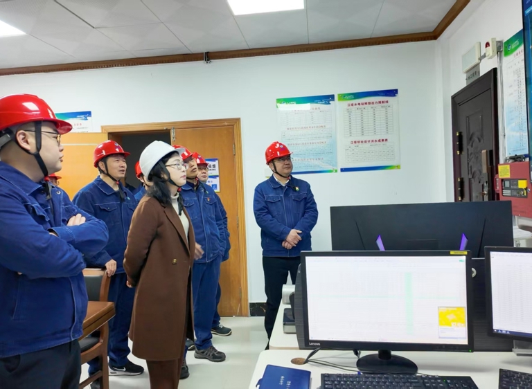 陈印辉到江垭水电站发展汛前安全查抄