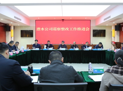 麻将胡了公司召开巡察整改工作推动会