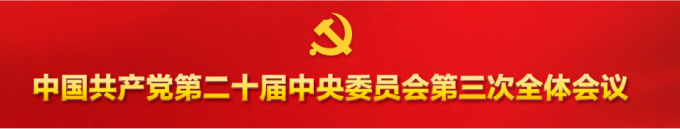 中国共产党第二十次全国代表大会心灵